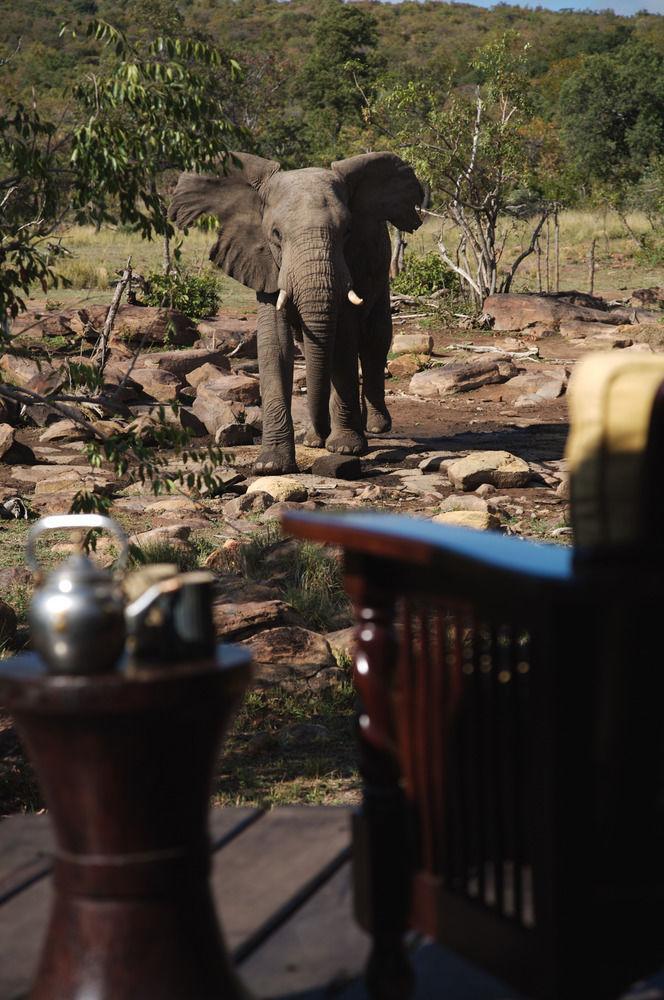 Makweti Safari Lodge Welgevonden Game Reserve Exteriér fotografie